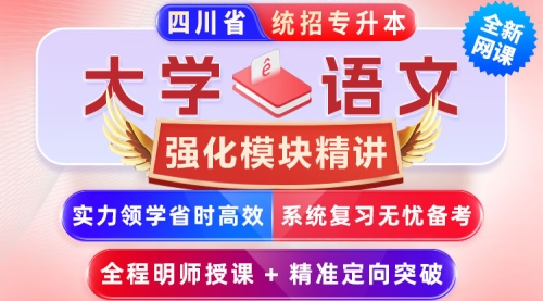 2025﹣2027年四川省统招专升本《大学语文》﹣【强化模块精讲】