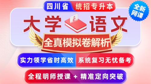 2025﹣2027年四川省统招专升本《大学语文》﹣【全真模拟卷解析﹣10套】